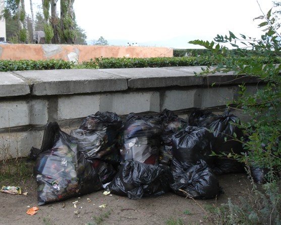 В Тольятти мусор собирают, но не вывозят