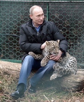 Путина маленький леопард не тронул