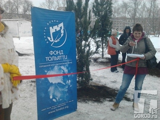 18 января 2013 года, посадка кедров в Тольятти