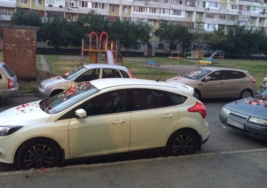 В Тольятти кто-то усеял машины лепестками цветов