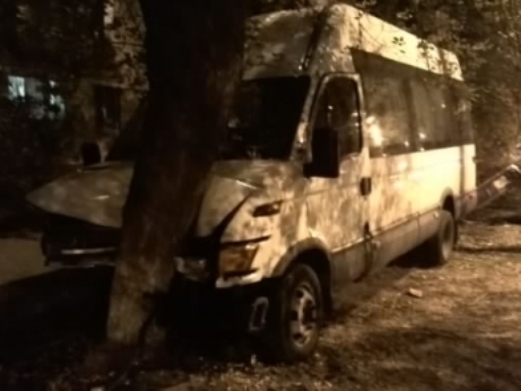 Автобус ИВЕКО врезался в дерево в Тольятти, 8 человек в больнице
