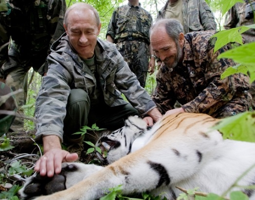 Владимир Путин с тигром Кузей