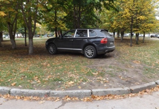 Тольяттинские водители паркуются на озелененной территории
