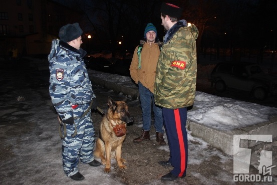 Теперь в Тольятти добровольцы будут помогать полицейским