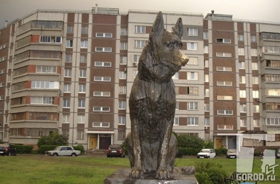 Истинная история пса Верного в Тольятти не всем понравилась...