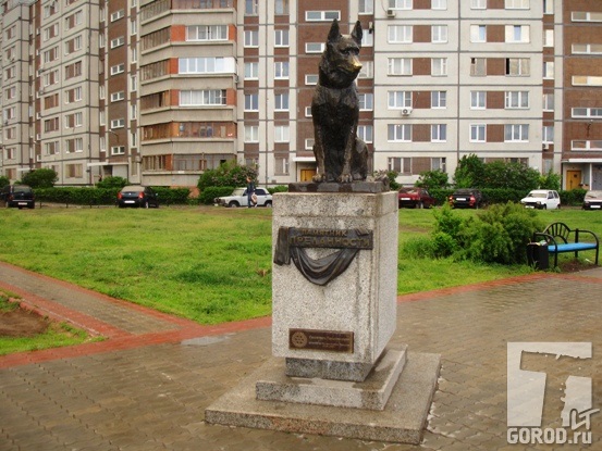 Памятник псу Верному стал символом Тольятти 