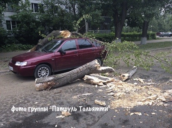 Дерево упало на автомобиль на Московском проспекте, Тольятти