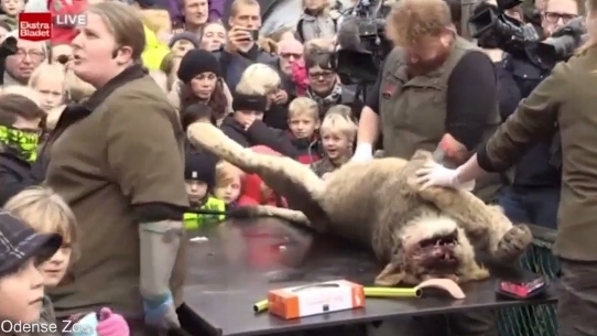В Дании детей привели в зоопарк на увлекательное мероприятие