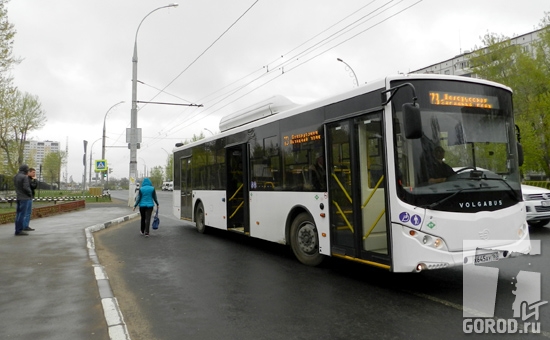 Новые автобусы нравятся тольяттинцам за удобную посадку