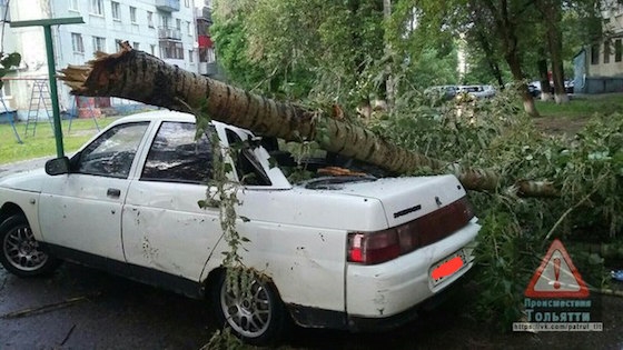 Дерево упало на "Ладу" на улице Ленина в Тольятти