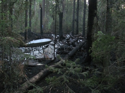 Гидросамолет Че-29 задел деревья и упал в лес
