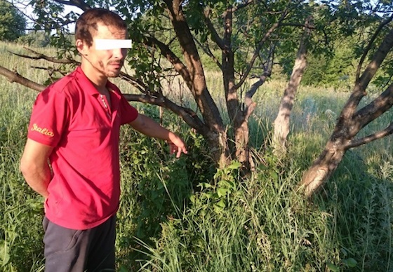 Житель Октябрьска вырастил 7900 кустов мака