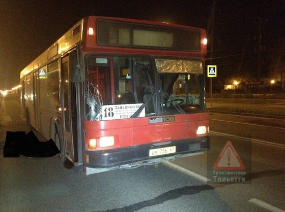 Пенсионерка была сбита автобусом в Тольятти, 9 октября
