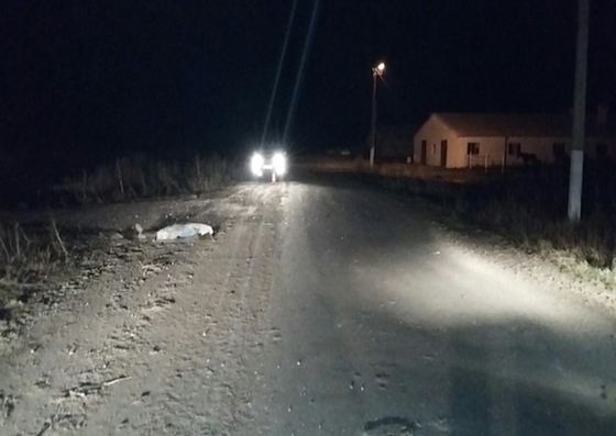 Сбивший женщин водитель "УАЗа" скрылся в селе Горки