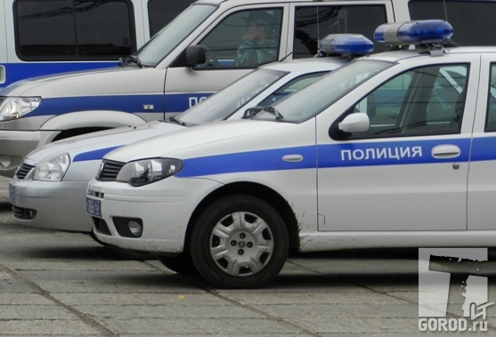 В Тольятти эксплуатируется 19 автомобилей ППС