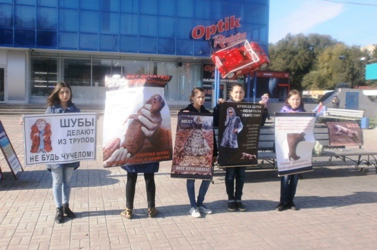 В Тольятти поддержали акцию "Животные не одежда!"