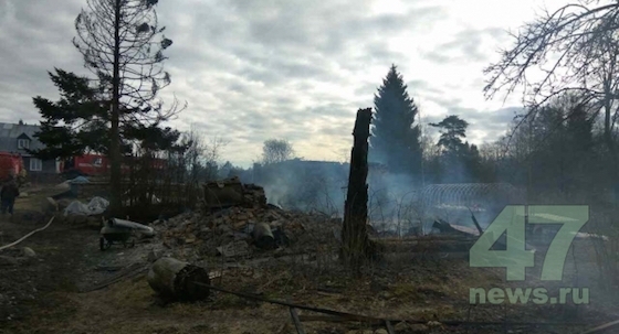 Всего в деревне Лопец сгорело 9 домов и 4 хозпостройки