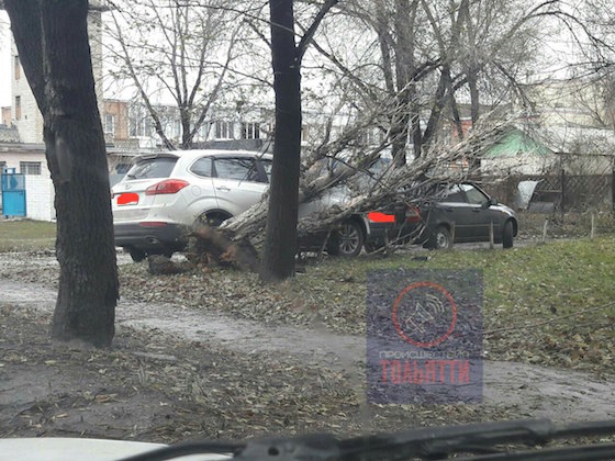 Дерево упало на автомобили на ул. Новозаводская