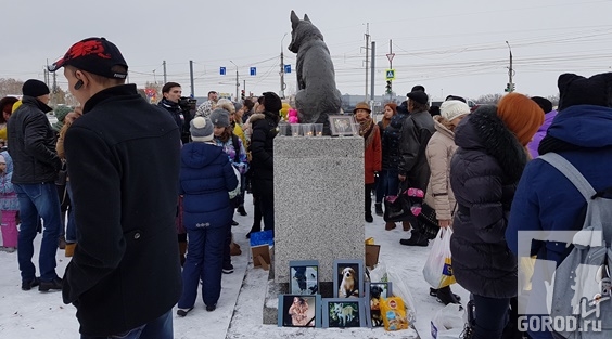 Тольятти, у памятника псу Верному собрались зоозащитники