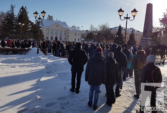 28 января 2018 г., прогулка избирателей в Тольятти