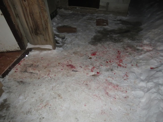 Истекающий кровью мужчина упал на снег во дворе дома...