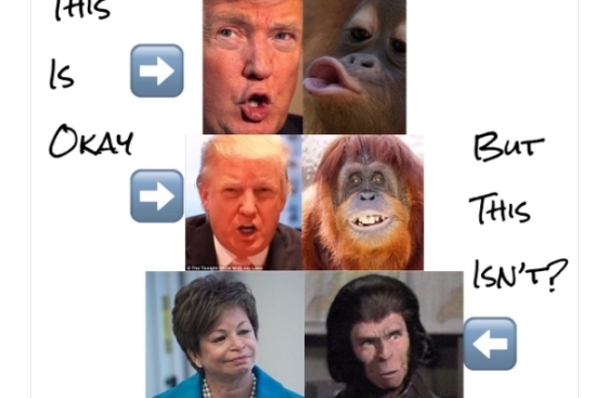 В США не всех можно сравнивать с обезьяной 