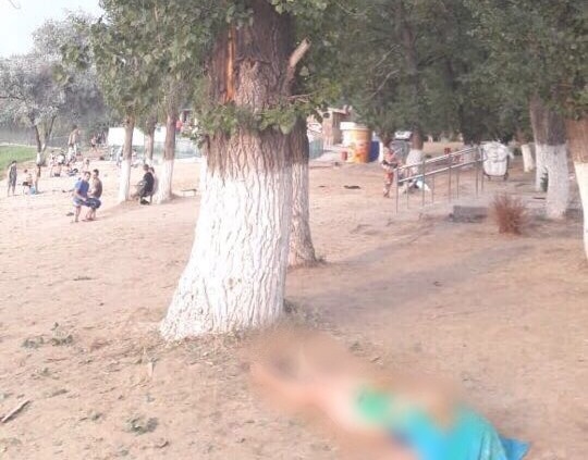 Девушка пряталась с друзьями под деревом 
