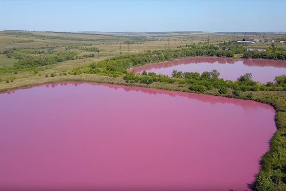 Розовые озера под Алексеевкой в Кинельском районе
