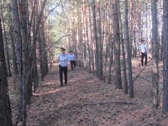 Поиски пенсионерки в лесу продлились три часа