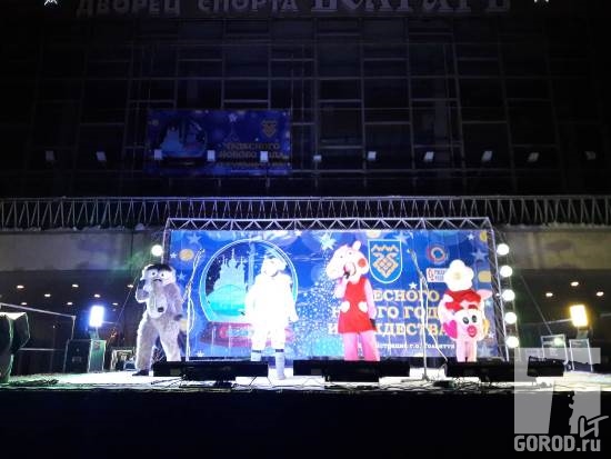 ДС Волгарь, Тольятти встречает Новый год