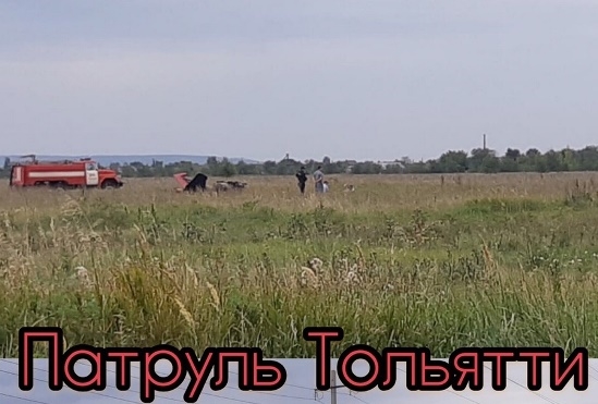 Самолет рухнул на землю близ Тольятти, пилот погиб 