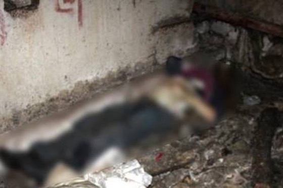 Тело женщины найдено в подвале дома 108 по ул. 40 лет Победы