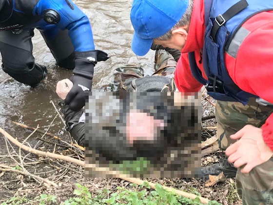Тело рыбака обнаружили в 7 метрах от берега