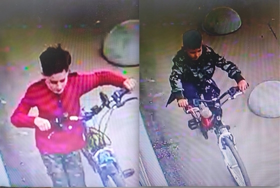 Подозреваемые в краже велосипеда в Подстепках