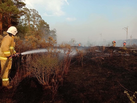 Пожар в Узюковском лесничестве