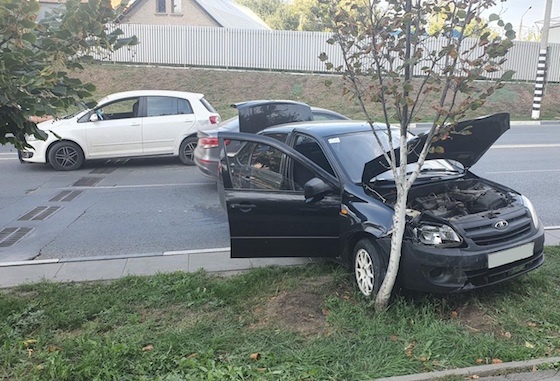 В ДТП пострадали водитель и пассажир "Гранты"