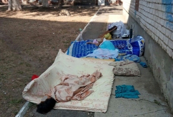 Тольятти, цыгане во дворе спят и какают 