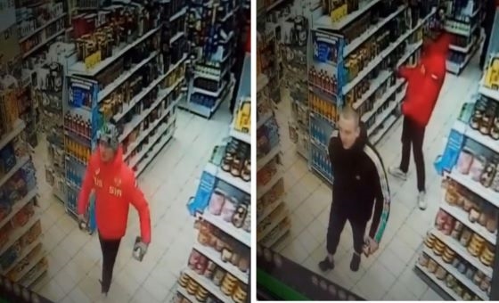 Подозреваемые в краже в Тольятти