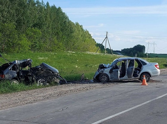 Водитель и пассажир "ВАЗ 2114" погибли на месте