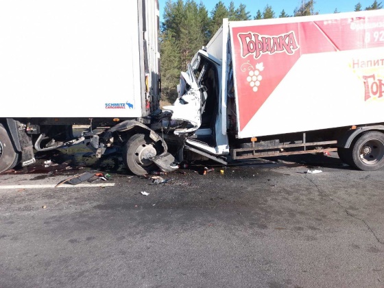 Водитель "ГАЗ" и его пассажир погибли на месте аварии