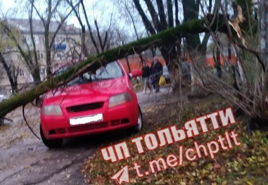 Тольяттинцы обратили внимание, где был припарковал автомобиль 