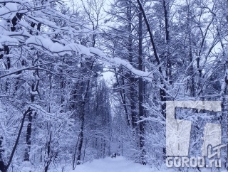 Прогноз погоды в Самаре на 14 дней