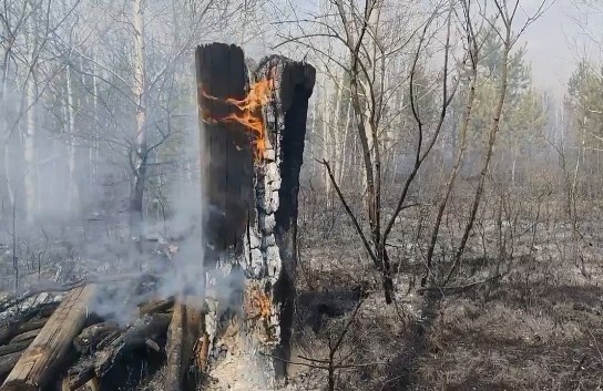 Смотреть видео