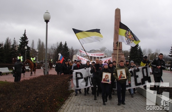 "Русский марш" в Тольятти, 4 ноября 2012 года