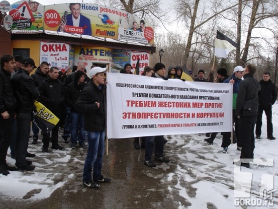 Пикет против этнопреступности в Тольятти собрал около 50 человек