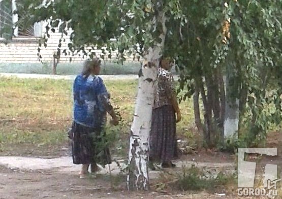 Эмфизема легких какой врач
