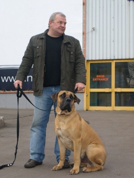 Николай Савельев