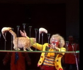 Евгений Мараногли на арене цирка