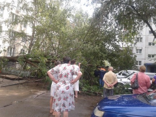 Дерево рухнуло на машины на улице Свердлова, 78 в Тольятти 