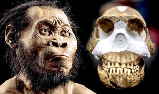 Homo naledi был ростом в 1,5 метра